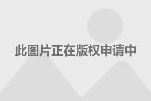 上海热线汽车频道-- 有钱不一定能买到 盘点2013年汽车技术